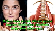 Bedensel ve Duygusal Acıların Kaynağı Olarak Görülen, İç Huzurla Bağlantılı Ruh Kası: Psoas