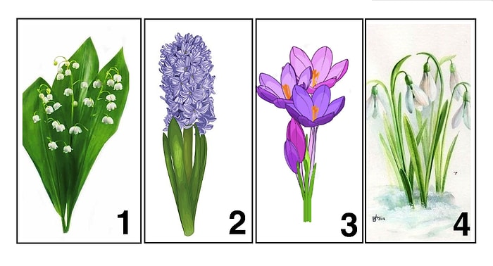 Тест: Выберите цветок и узнайте, какие перемены ждут вас этой весной