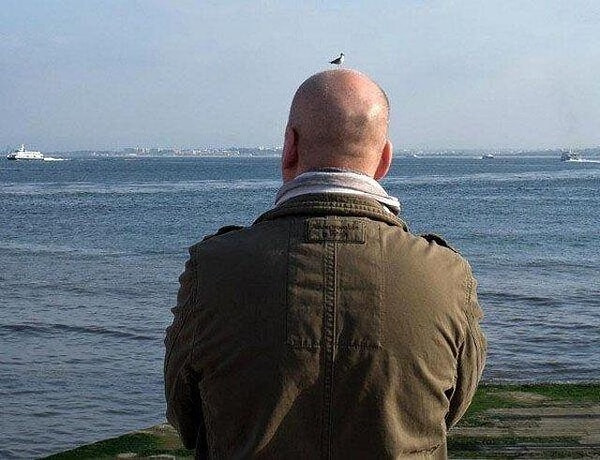 6. Я всегда хотел, чтобы птичка прогулялась по моей голове...