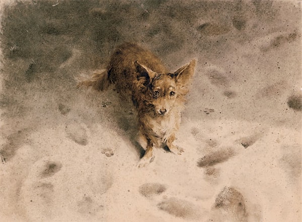 5. Как звали собаку из одноимённого произведения Чехова?