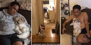 'Eve Köpek Alalım' Teklifine Karşı Çıktıktan Sonra Babanın Sahiplenilen Köpekle Olan Muhteşem İlişkisi