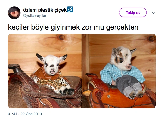 Cidden zor mu?