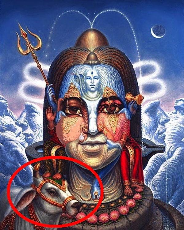 2. Если вы увидели корову: