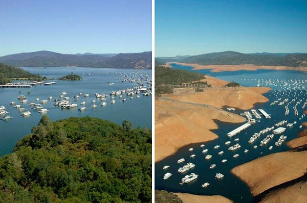 22. Или их высыхание.