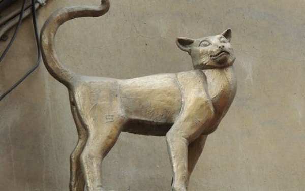 11. 4 вагона кошек