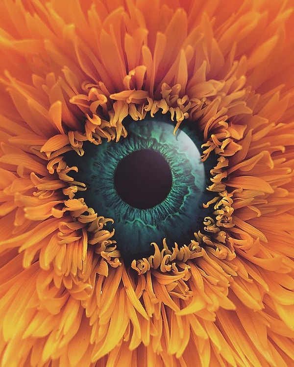 13. У нее необыкновенные глаза...