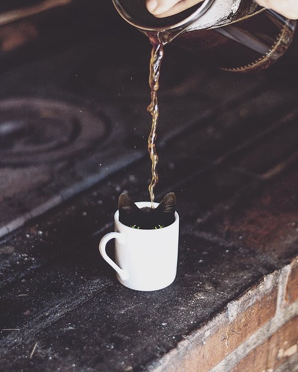 16. Мне черный без сахара, пожалуйста!