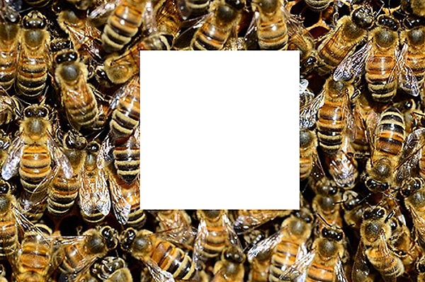 3. Внимательно присмотритесь: