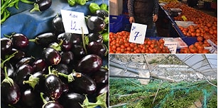 35 Senelik Pazarcı: 'İlk Defa Böyle Fiyatlara Sebze Satıyorum'