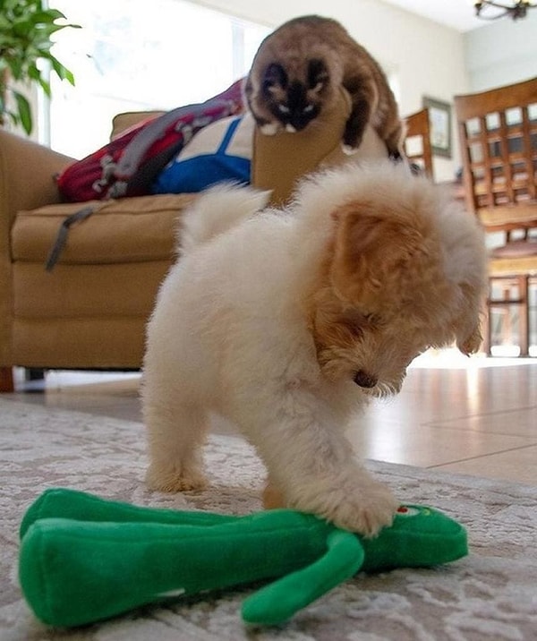 15. Держись, я иду на подмогу!