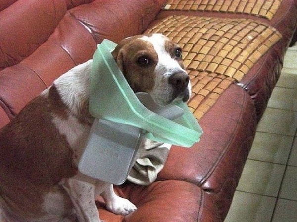 2. "Это я так, просто решил примерить".