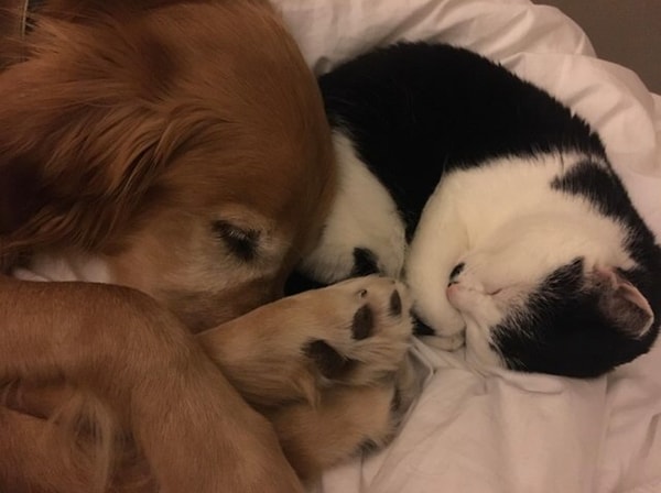 25. Ну что, прослезились? 😉