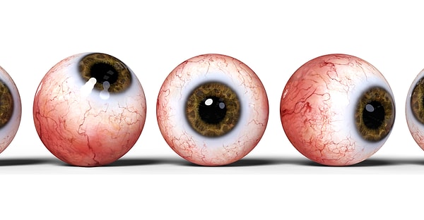 10. Эта картинка вас волнует?