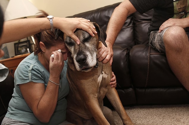 7. Wendy Lehr cries when she embraces Mimosa for the last time. Her husband Rich is trying to comfort her.