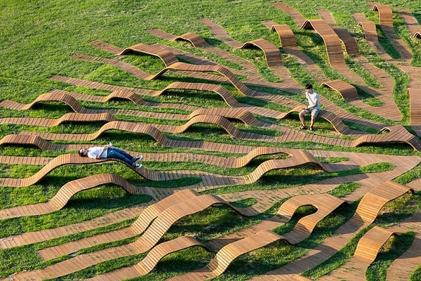 21. Скамеечки в виде корней деревьев в Южной Корее