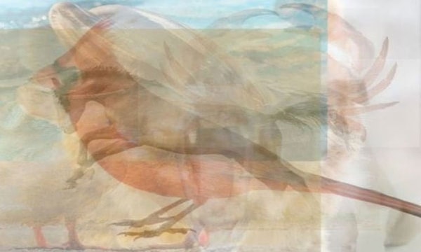 Итак, всмотритесь в картинку и запомните, каких животных вы нашли и в какой очередности.