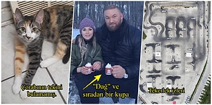 Görünce Ne Olduğunu Anlamak İçin Uzun Uzun Bakmanıza Neden Olacak 14 Şaşırtıcı Fotoğraf