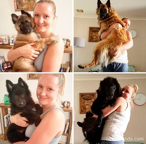 8. "Ну они выросли совсем немного"