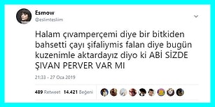 Aile Üyelerini Mizahlarına Alet Eden Goygoyculardan Haftanın En Eğlenceli 17 Paylaşımı
