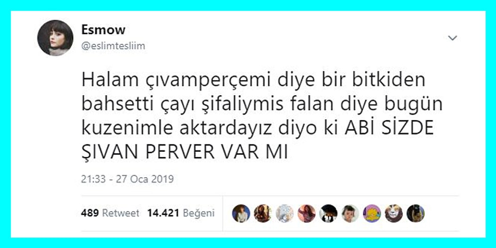 Aile Üyelerini Mizahlarına Alet Eden Goygoyculardan Haftanın En Eğlenceli 17 Paylaşımı