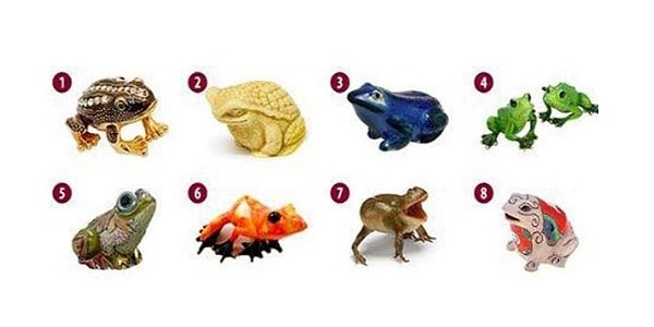 Итак, какая лягушка понравилась вам больше всего?