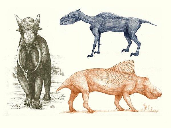 Paleontolog ve sanatçı Darren Naish dinozorlar için uyguladığımız tasarım kodlarını modern canlılar için uygularsak ortaya çıkacak 'garipliği' şöyle betimlemiş: