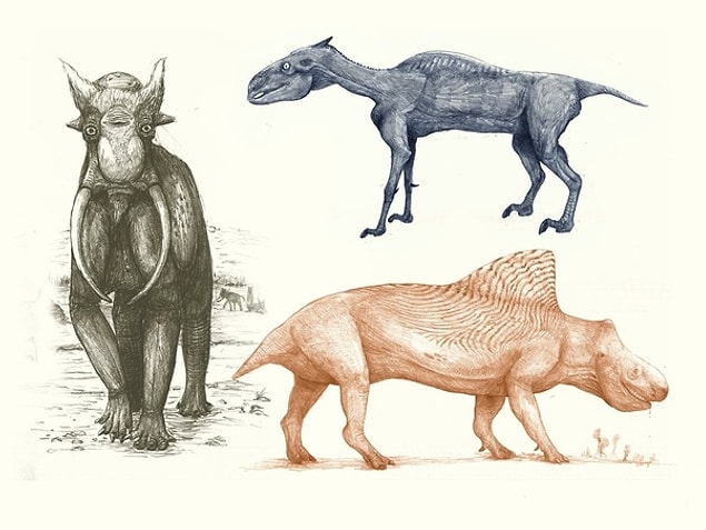 Paleontolog ve sanatçı Darren Naish dinozorlar için uyguladığımız tasarım kodlarını modern canlılar için uygularsak ortaya çıkacak 'garipliği' şöyle betimlemiş: