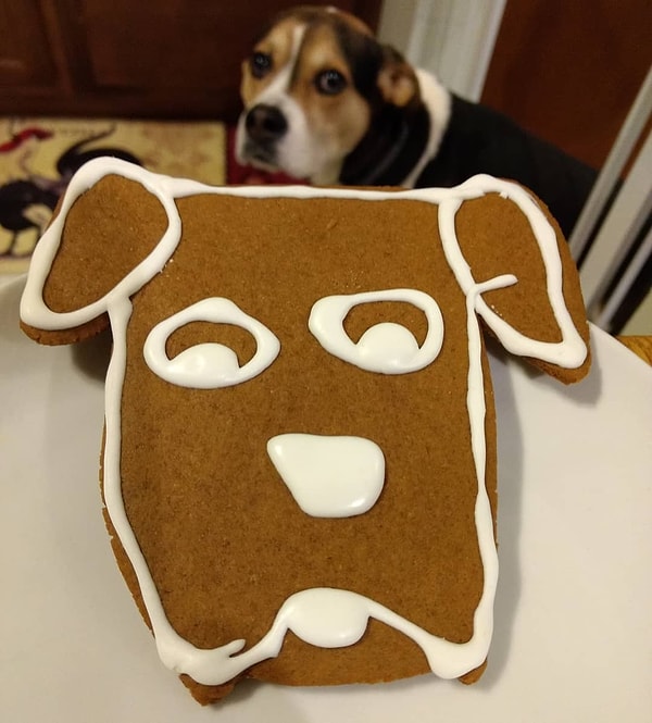 5. "Ой, да это же я!"