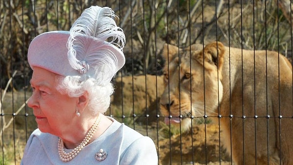 11. Где находится Лондонский зоопарк?