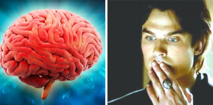 Тест: А вы сможете ответить на коварные вопросы из разных областей знаний без ошибок?