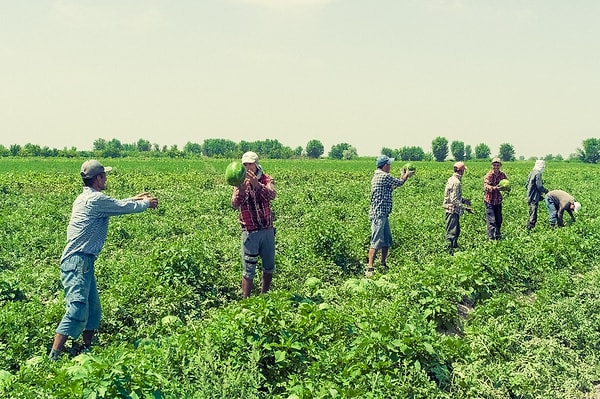 3. Как в среднеазиатских республиках назывались крестьяне?