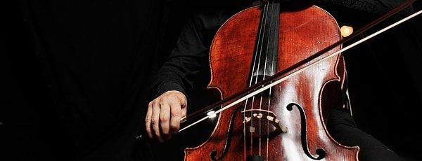 8. Звучание какого инструмента на октаву выше виолончели?