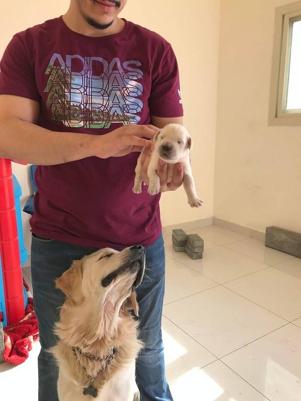 22. Когда гордишься своим ребенком ❤