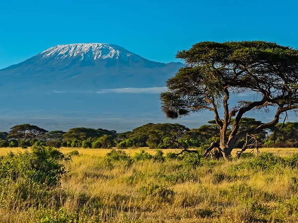 10. Официальный язык Кении?