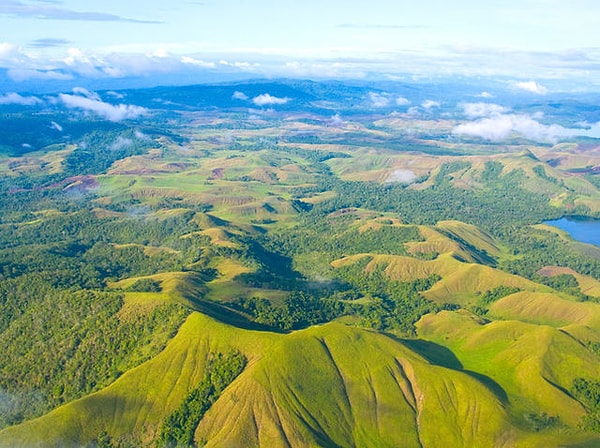 12. На каком языке говорят в Папуа-Новой Гвинее?