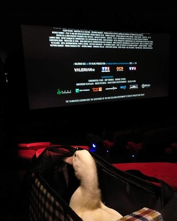 15. Парочка часто устраивает кино-марафоны - это один из их любимых способов времяпрепровождения!