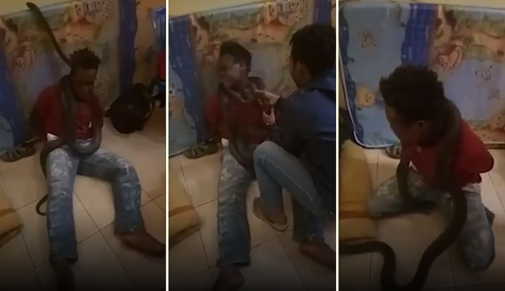 Hırsızlıkla Suçlanan Adamı Yılanla Korkutarak Sorgulayan Polis