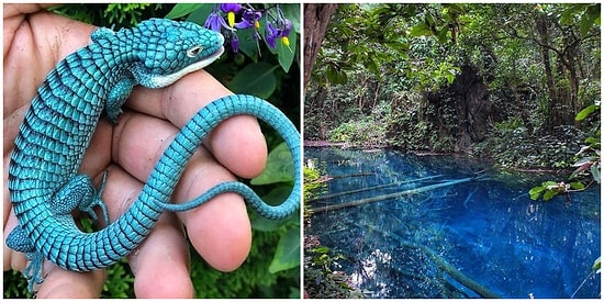 Başka Bir Dünyadanmış Gibi Görünen Birbirinden Büyüleyici Bu Fotoğrafları Mutlaka Görmelisiniz!
