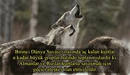 Acayip Bilgiler Kuşağında Bu Hafta: Yer Çekimsiz Ortamda Muz Tadında Çilek Yiyormuş Gibi Hissettiren 20 Gerçek