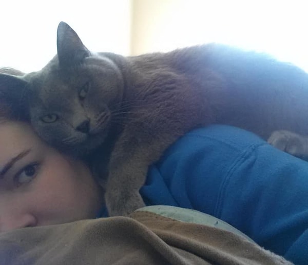 5. Все любят обнимашки