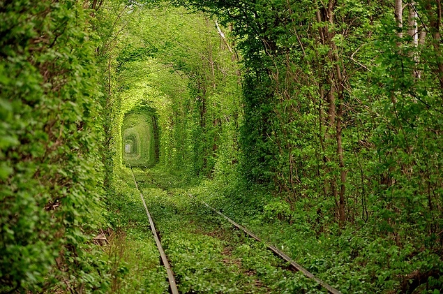 Terk edilmiş bir tren yolu...