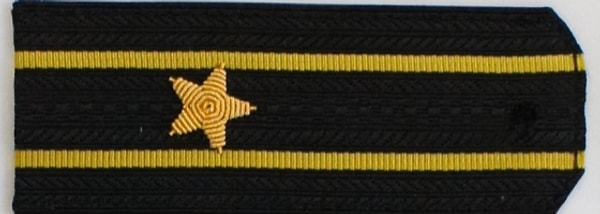 2. Кто носит такие погоны во флоте?