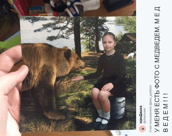 2. Мирные такие отношения медведя и девочки