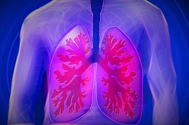 15. Burnunuzdan nefes alıp verdiğini zaman ciğerlerinizin kokusunu duyarsınız ama vücudunuz buna alıştığı için göz ardı eder.