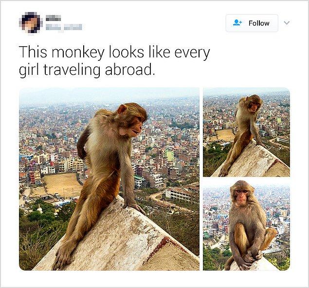 10. "Bu maymun yurt dışına çıkmış kızlara benziyor."