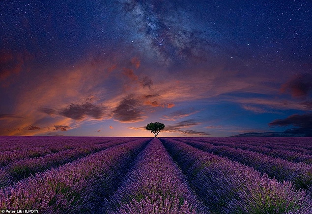 Valensole, Fransa'daki bir lavanta tarlasının üzerinde batan akşamı ise Amerikalı Peter Lik fotoğraflamış.