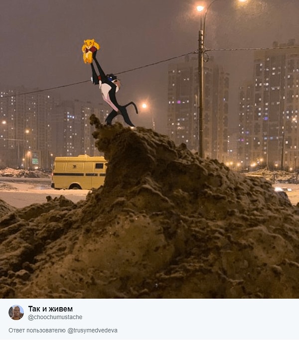 9. Рождение Симбы