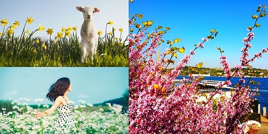 Havaya, Suya, Toprağa... Sonunda Soğuklar Bitiyor! Peki Baharın Müjdeleyicisi Cemre Ne zaman Düşecek?