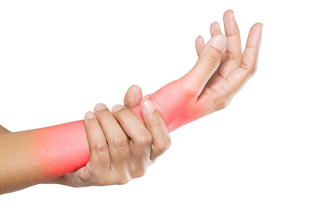 Ön kollarda üç ana kas vardır: Fleksör, ekstansiyon ve brachioradialis.