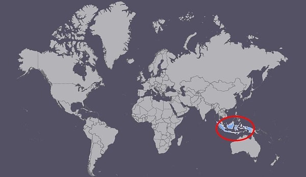 19. А знаете ли вы и эту страну по очертаниям и расположению на карте?